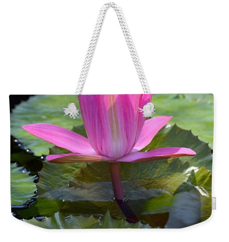 Lily Weekender Tote Bag featuring the photograph Perfection by Deborah Crew-Johnson