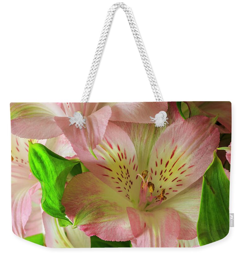Peruvian Lilies Weekender Tote Bag featuring the photograph Peruvian Lilies In Bloom by Richard J Thompson