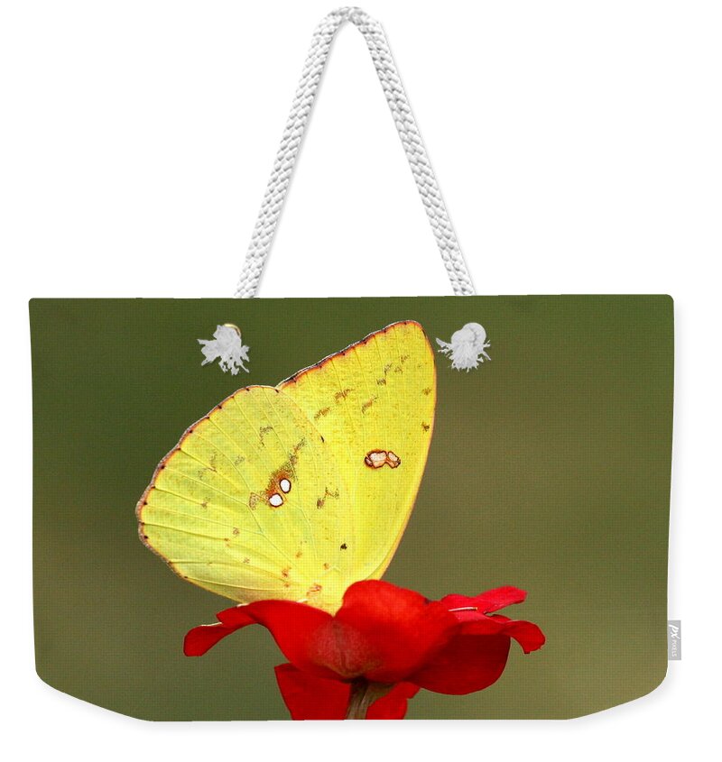Macro Weekender Tote Bag featuring the photograph Petals and Wings by Sheila Brown