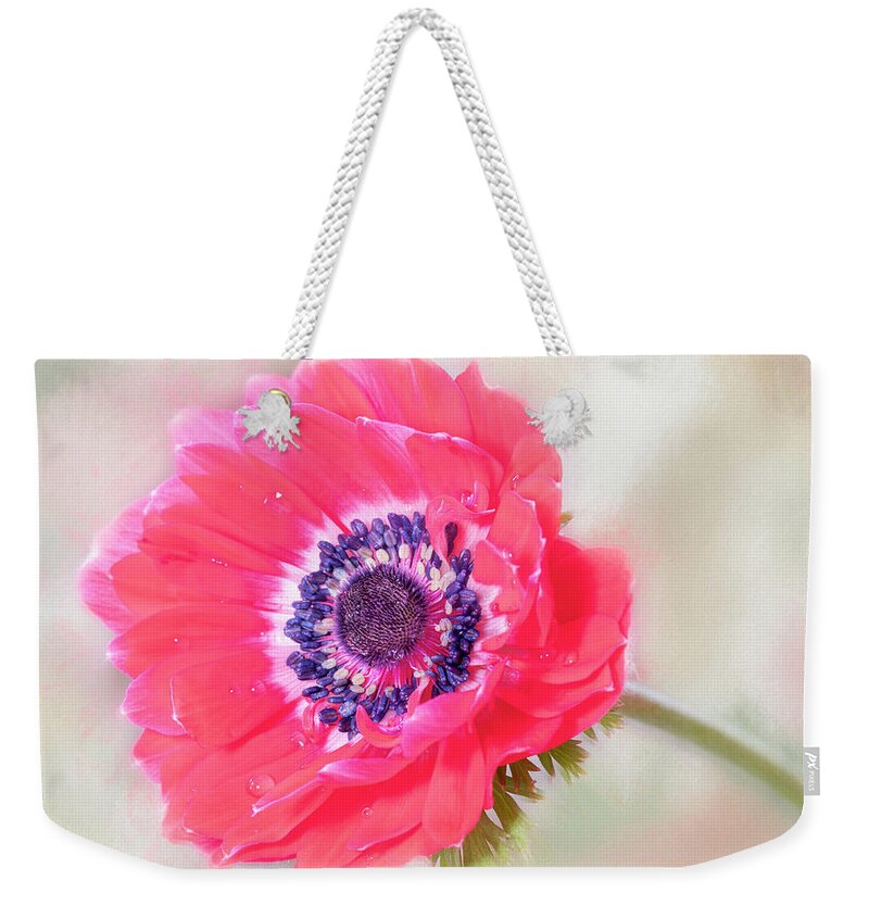 Flower Weekender Tote Bag featuring the photograph Petite perfection. by Usha Peddamatham