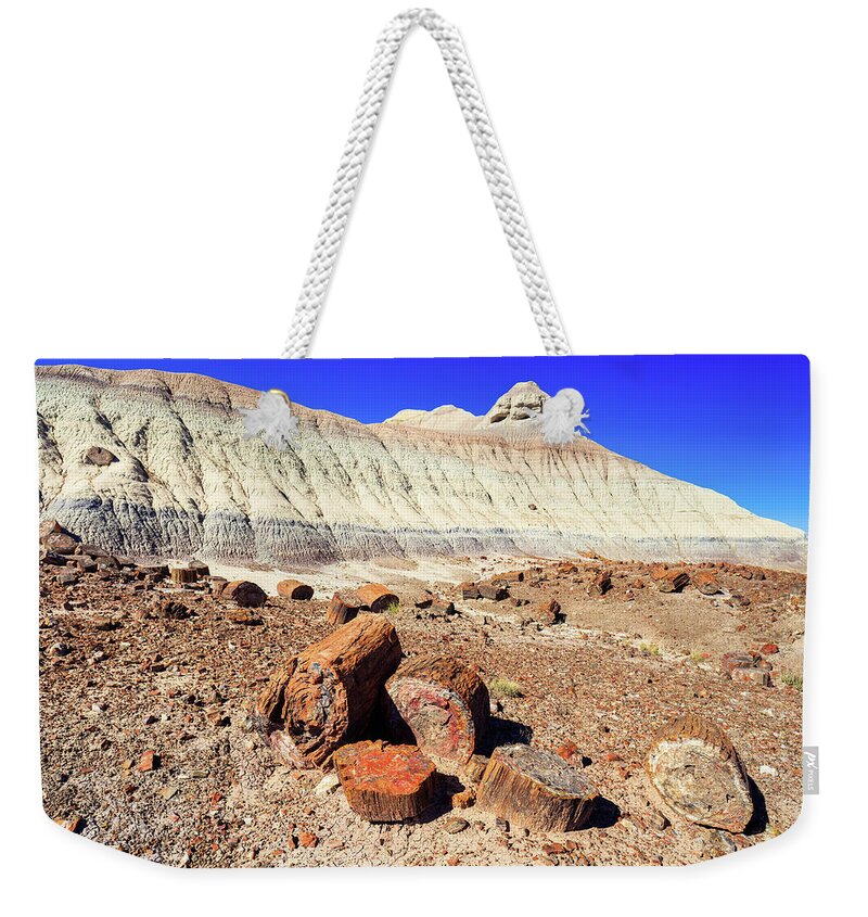 Arizona Weekender Tote Bag featuring the photograph Petrified Forest II by Raul Rodriguez