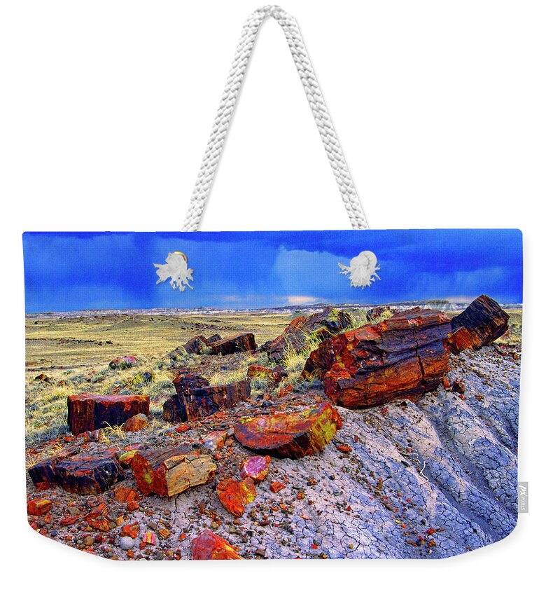 Usa Weekender Tote Bag featuring the photograph Petrified Forest National Park by Gary Corbett
