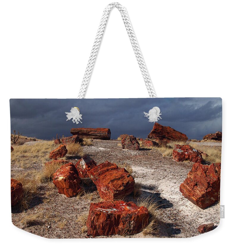 Peterson Nature Photography Weekender Tote Bag featuring the photograph Petrified Forest National Park by James Peterson