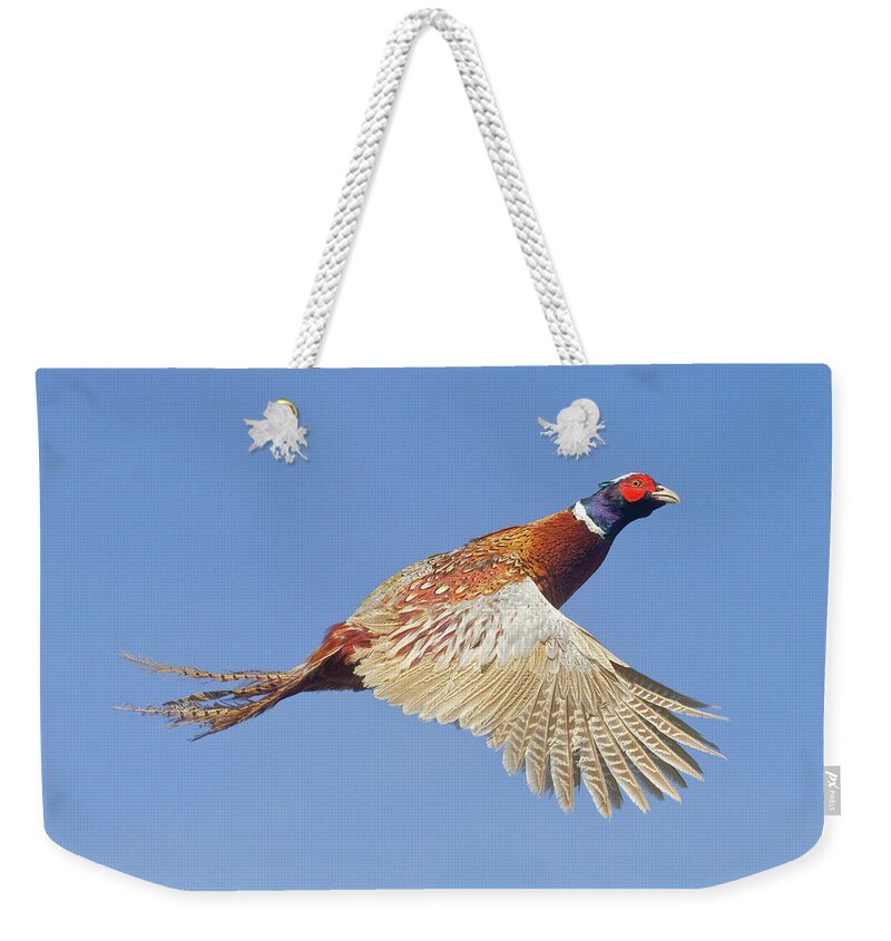 Pheasant Weekender Tote Bag featuring the photograph Pheasant Wings by Mark Miller