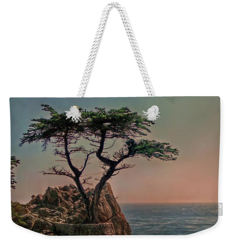 Cypress Weekender Tote Bag featuring the photograph Photogenic Tree by Hanny Heim