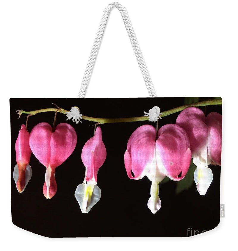 Photograph Weekender Tote Bag featuring the photograph Photograph of Pink Bleeding Heart by Delynn Addams by Delynn Addams