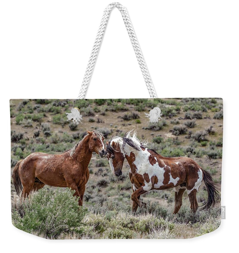 Colorado Weekender Tote Bag featuring the photograph Picasso and Voodoo 2 by Dawn Key