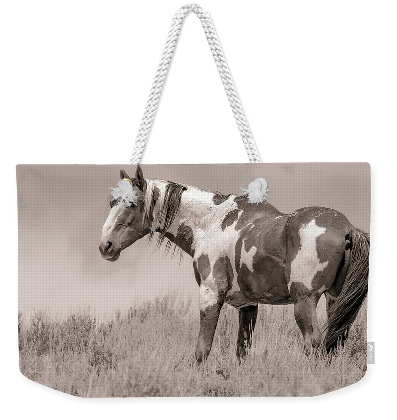 Mustang Weekender Tote Bag featuring the photograph Picasso on the Ridge by Mindy Musick King