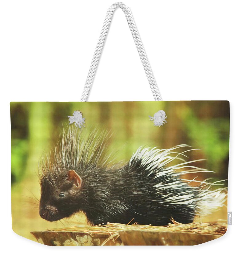 Porcupine Weekender Tote Bag featuring the photograph Picture Perfect Porcupine Painting by Carrie Ann Grippo-Pike