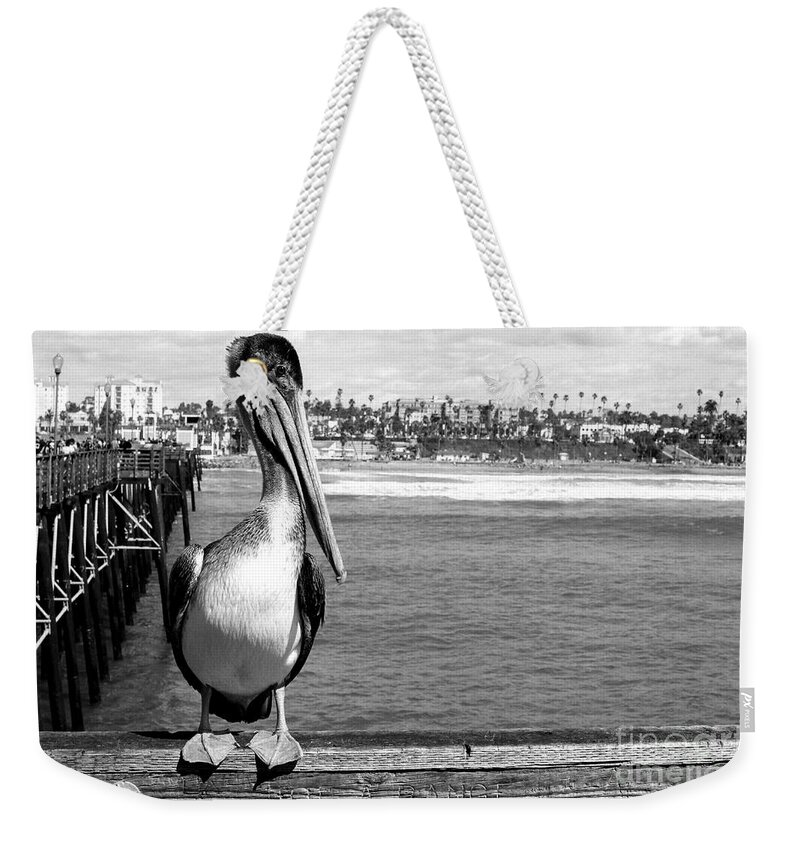 Oceanside Weekender Tote Bag featuring the photograph Pier Pelican by Daniel Knighton