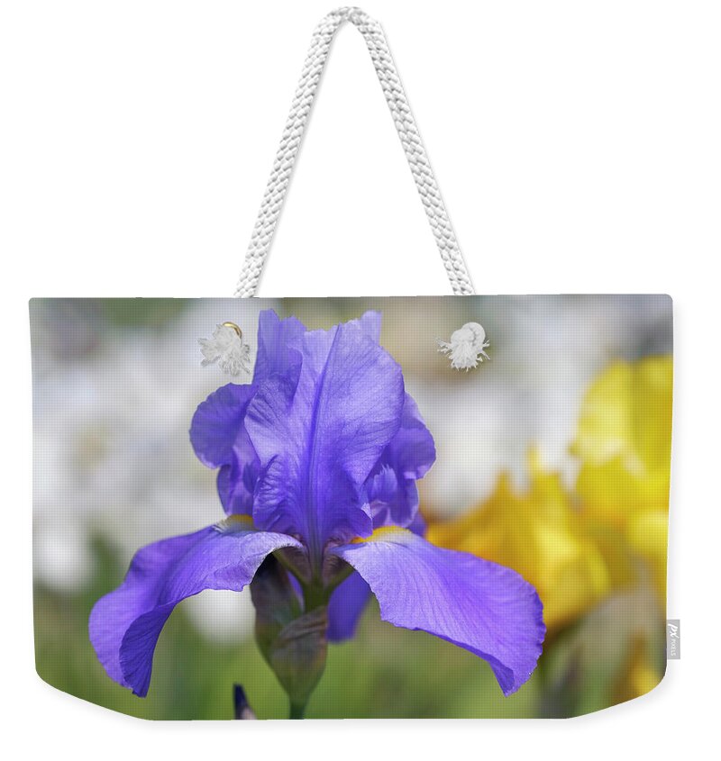 Jenny Rainbow Fine Art Photography Weekender Tote Bag featuring the photograph Pierre Menard. The Beauty of Irises by Jenny Rainbow