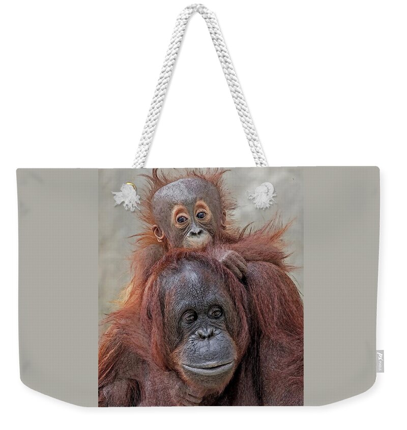 Orangutan Weekender Tote Bag featuring the digital art Piggyback by Larry Linton