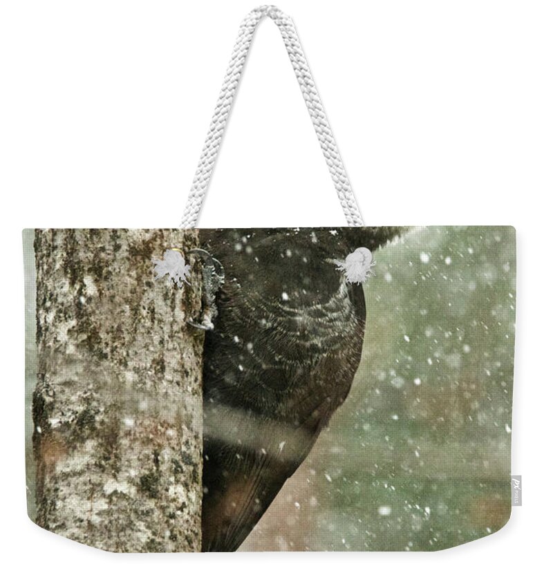 Woodpecker Weekender Tote Bag featuring the photograph Pileated Woodpecker on a Snowy Day by Michael Peychich