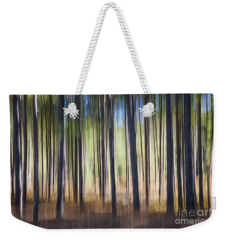 Abstract Weekender Tote Bag featuring the photograph Pine forest by Elena Elisseeva