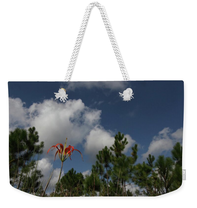 Pine Lily Weekender Tote Bag featuring the photograph Pine Lily and Pines by Paul Rebmann