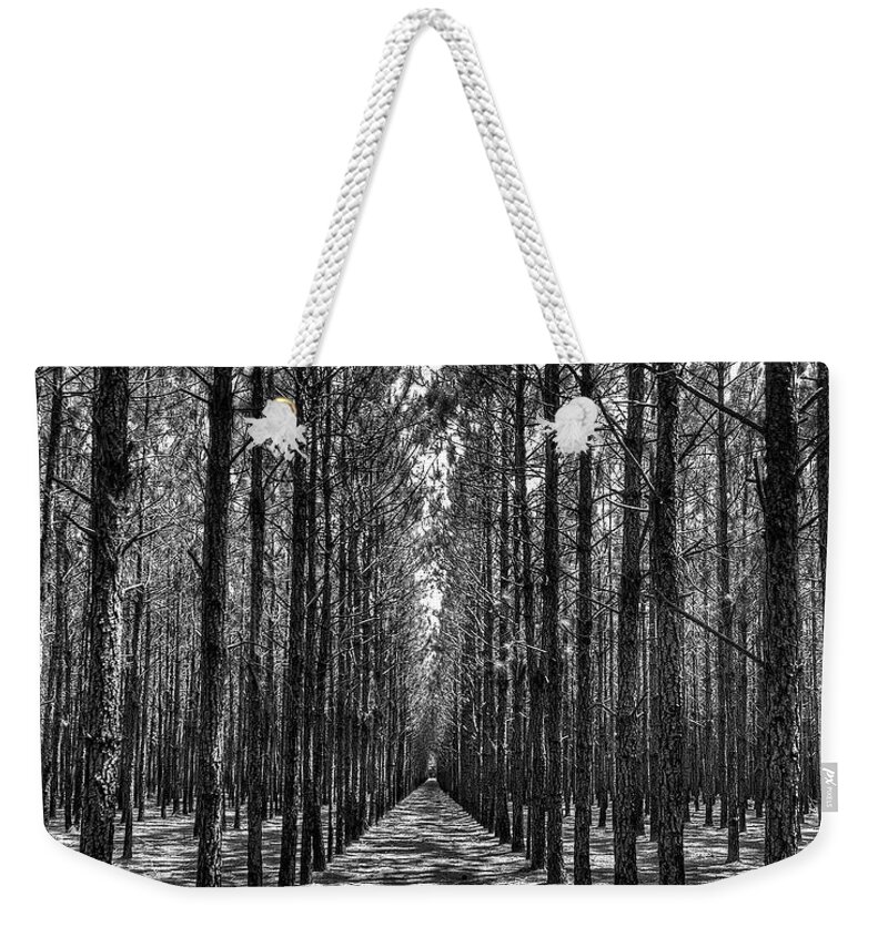 Pines Weekender Tote Bag featuring the photograph Pine Plantation 5655_6_7 by Gulf Coast Aerials -