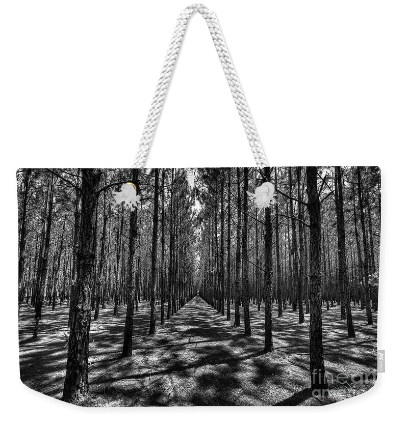 Pines Weekender Tote Bag featuring the photograph Pine Plantation Wide by Gulf Coast Aerials -