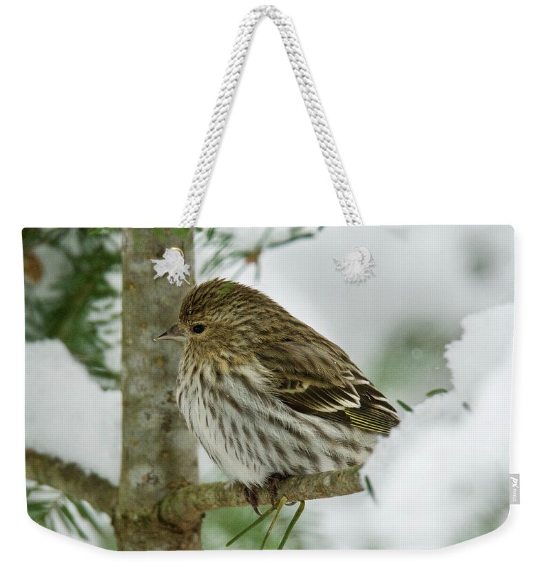 Winter Weekender Tote Bag featuring the photograph Pine Siskin 6197 by Michael Peychich