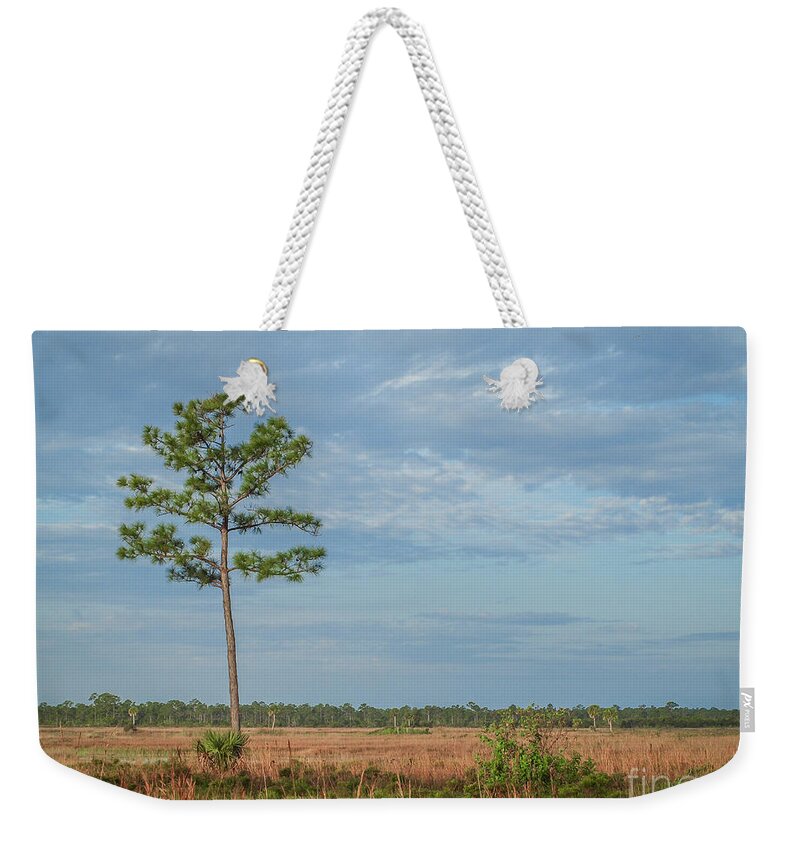 Pine Weekender Tote Bag featuring the photograph Pine Tree and Marsh by Tom Claud