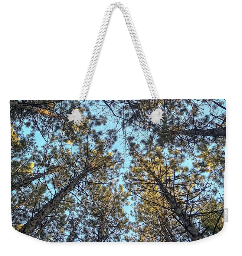Pine Weekender Tote Bag featuring the photograph Pine trees by SAURAVphoto Online Store