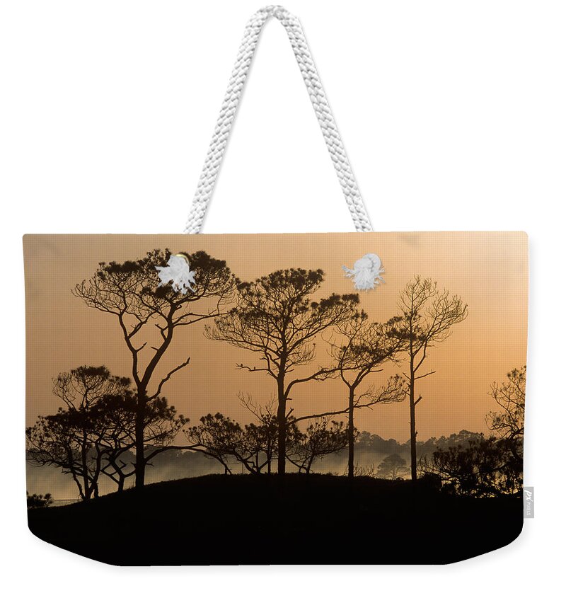 Florida Weekender Tote Bag featuring the photograph Pines at Sunrise Grayton Beach Florida by John Harmon