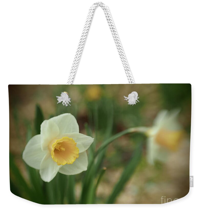 Flowers Weekender Tote Bag featuring the photograph Pinhole View Of Spring Daffodils by Dorothy Lee