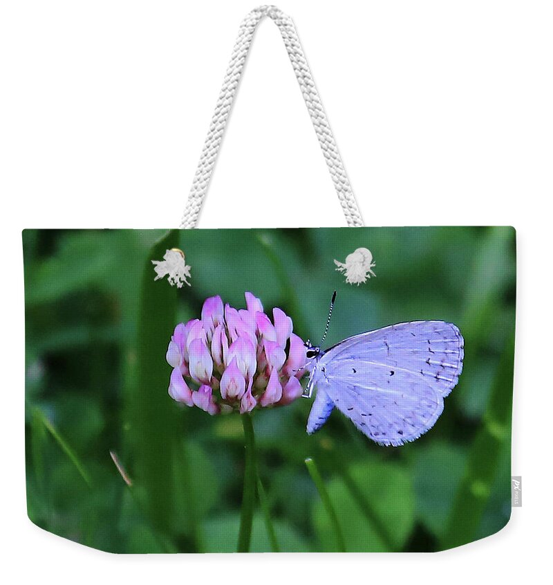 Pink And Blue Weekender Tote Bag featuring the photograph Pink and Blue by PJQandFriends Photography
