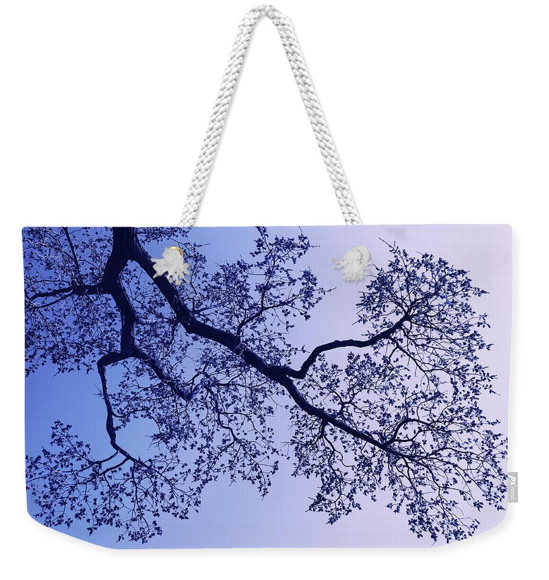 Tree Weekender Tote Bag featuring the photograph Pink And Blues by Iryna Goodall