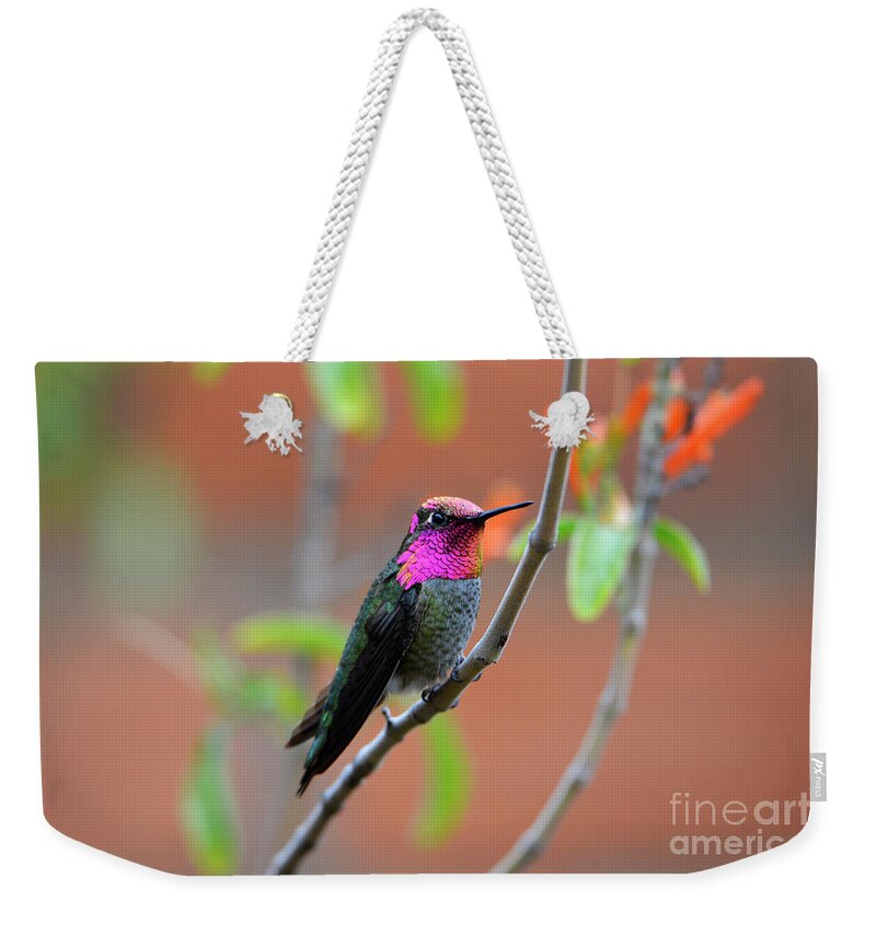 Denise Bruchman Weekender Tote Bag featuring the photograph Pink and Gold Anna's Hummingbird by Denise Bruchman
