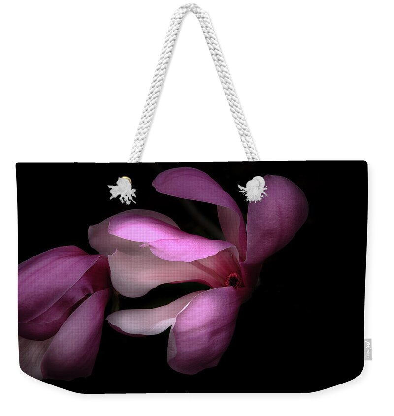 Morton Arboretum Weekender Tote Bag featuring the photograph Pink and White Magnolia in Silhouette by Joni Eskridge
