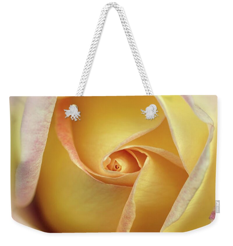 Rose Weekender Tote Bag featuring the photograph Pink and yellow rose by Jaroslaw Blaminsky