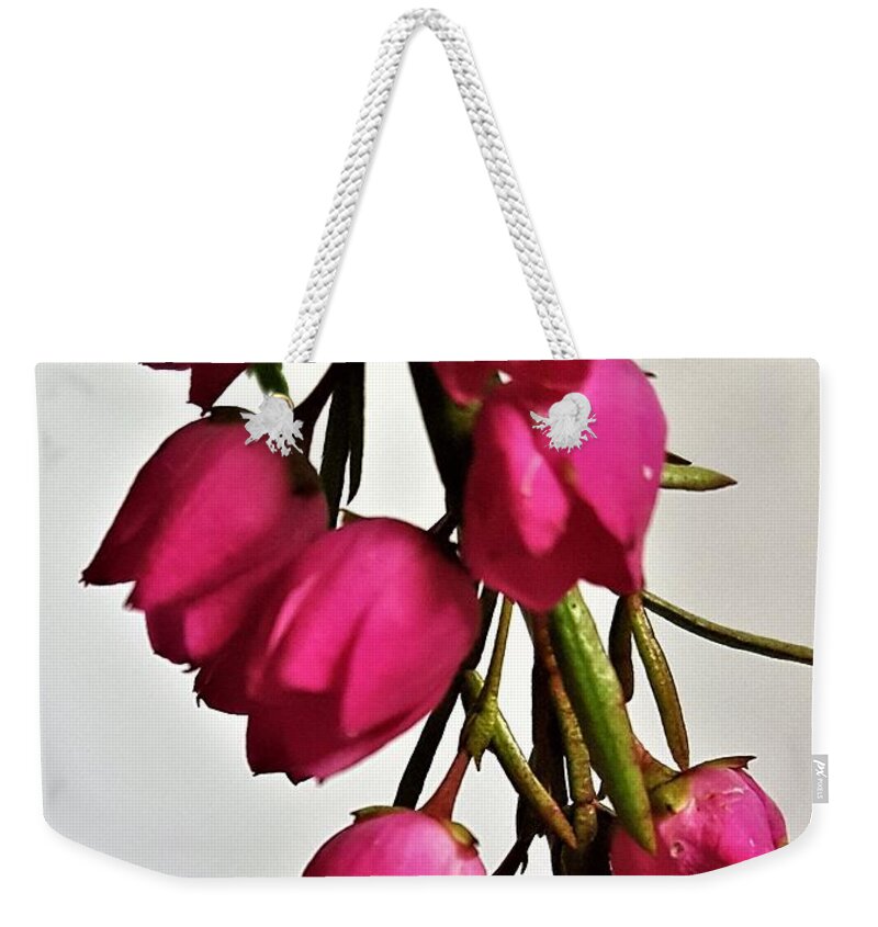 Floral Weekender Tote Bag featuring the photograph Pink Bells by Jim Harris