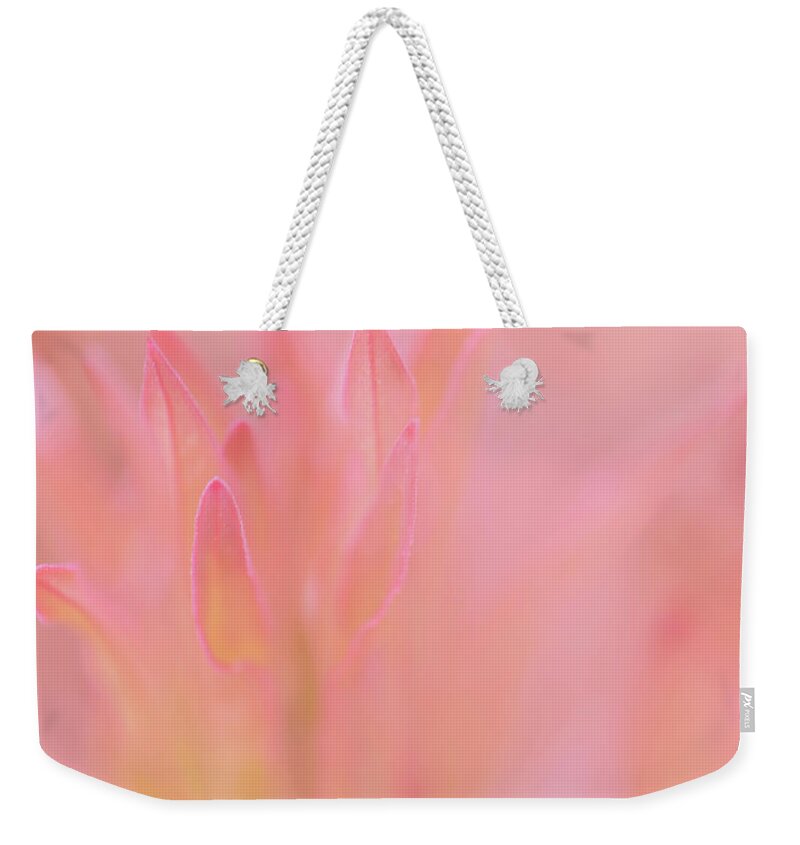 Pink Weekender Tote Bag featuring the photograph Pink Blush by Liz Albro