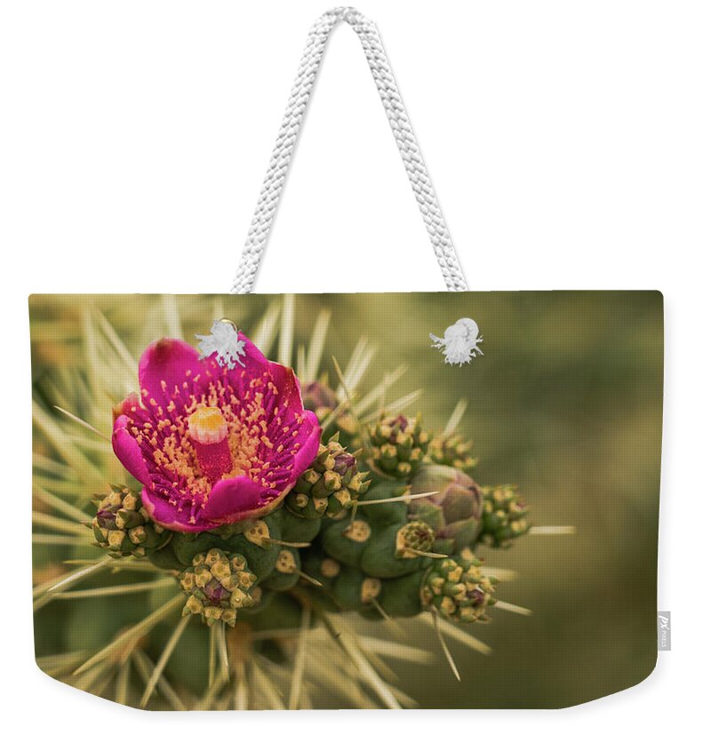 Arizona Weekender Tote Bag featuring the photograph Pink Cactus Bloom Saguaro National Park Arizona by Lawrence S Richardson Jr