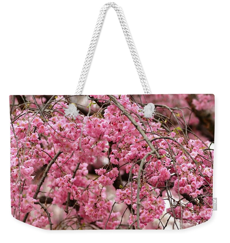 Pink Weekender Tote Bag featuring the photograph Pink Cherry Blossom Japan Arashayama spring holiday diaries by Manjiri Kanvinde