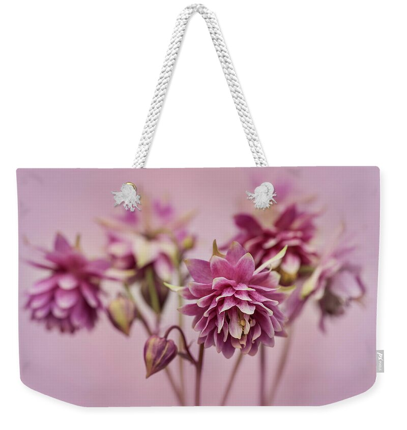 Colorful Weekender Tote Bag featuring the photograph Pink columbines by Jaroslaw Blaminsky