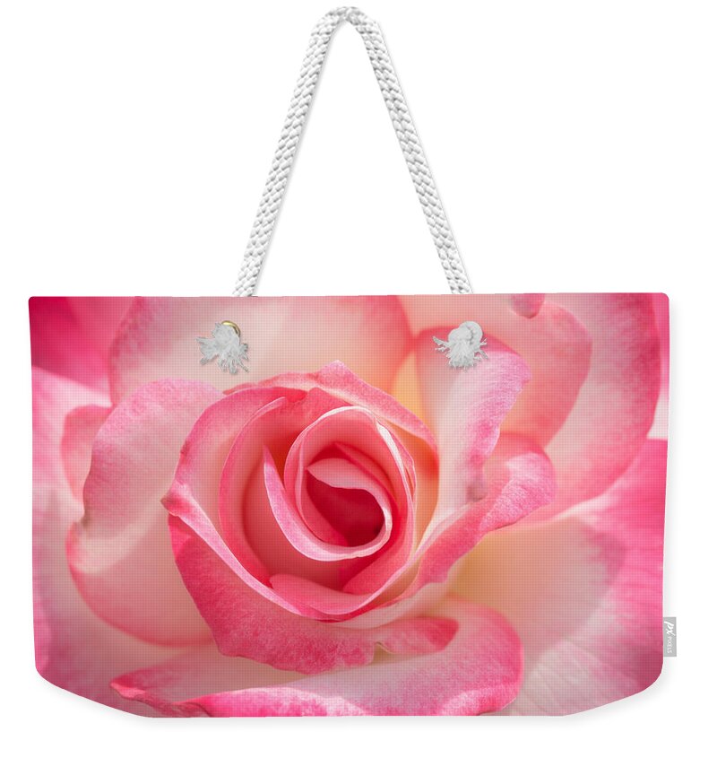 Pink Weekender Tote Bag featuring the photograph Pink Cotton Candy Rose by Ana V Ramirez
