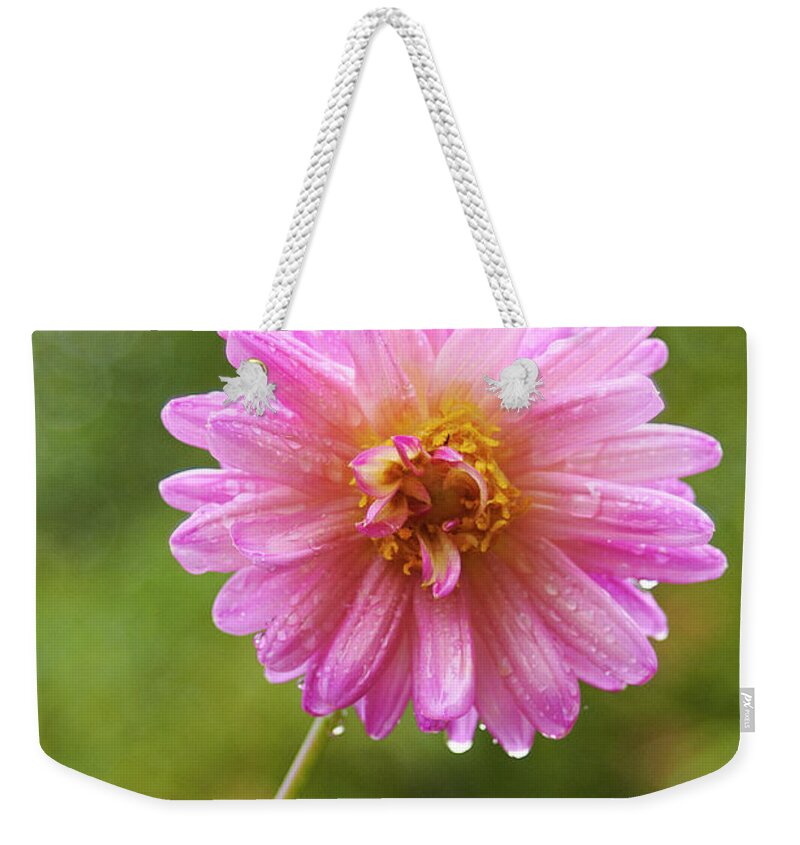 Dahlia Weekender Tote Bag featuring the photograph Pink Dahlia 2 by Garden Gate