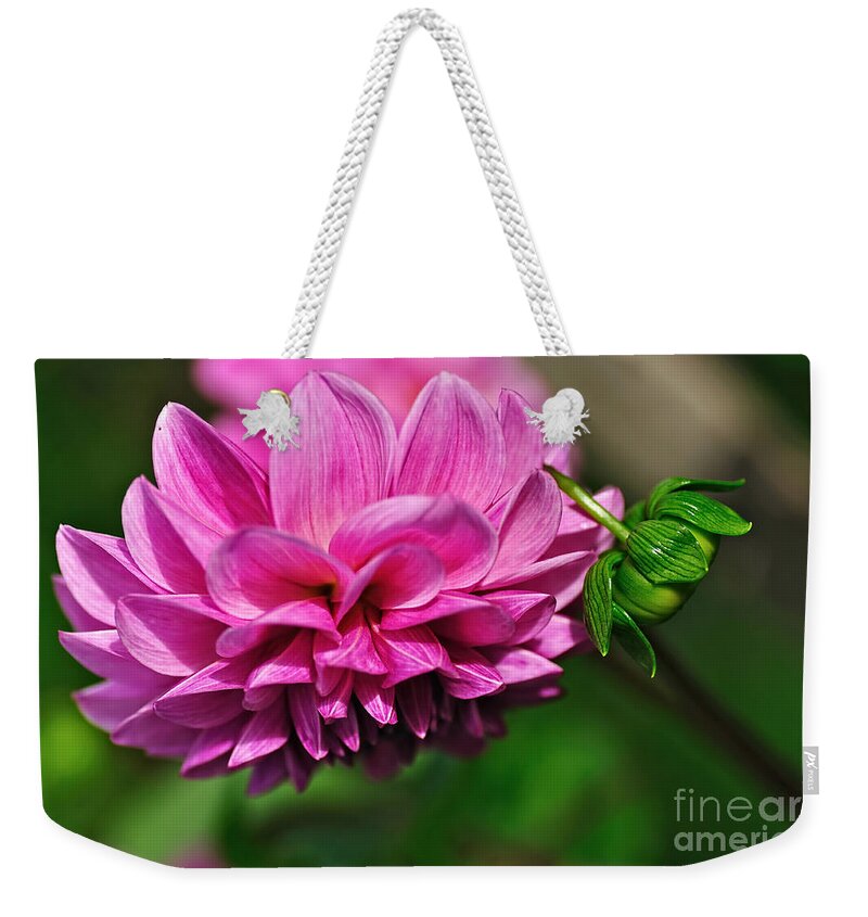 Photography Weekender Tote Bag featuring the photograph Pink Dahlia with Baby Dahlia by Kaye Menner