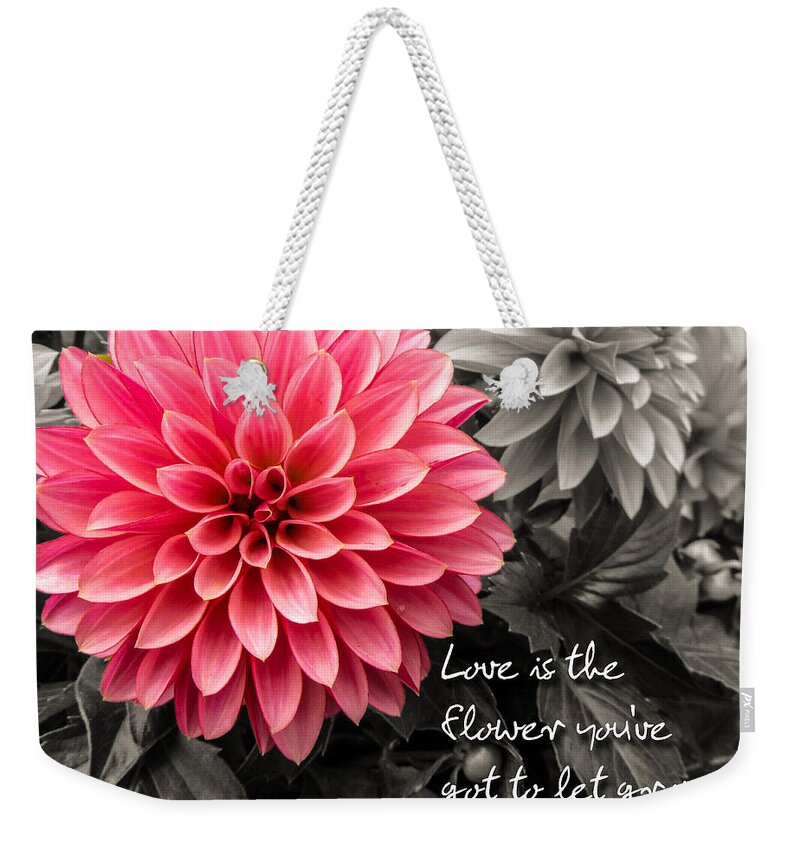 Dahlias Weekender Tote Bag featuring the photograph Pink Dahlia with John Lennon Quote by Dawn Key