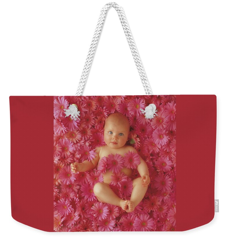 Daisies Weekender Tote Bag featuring the photograph Pink Daisies by Anne Geddes
