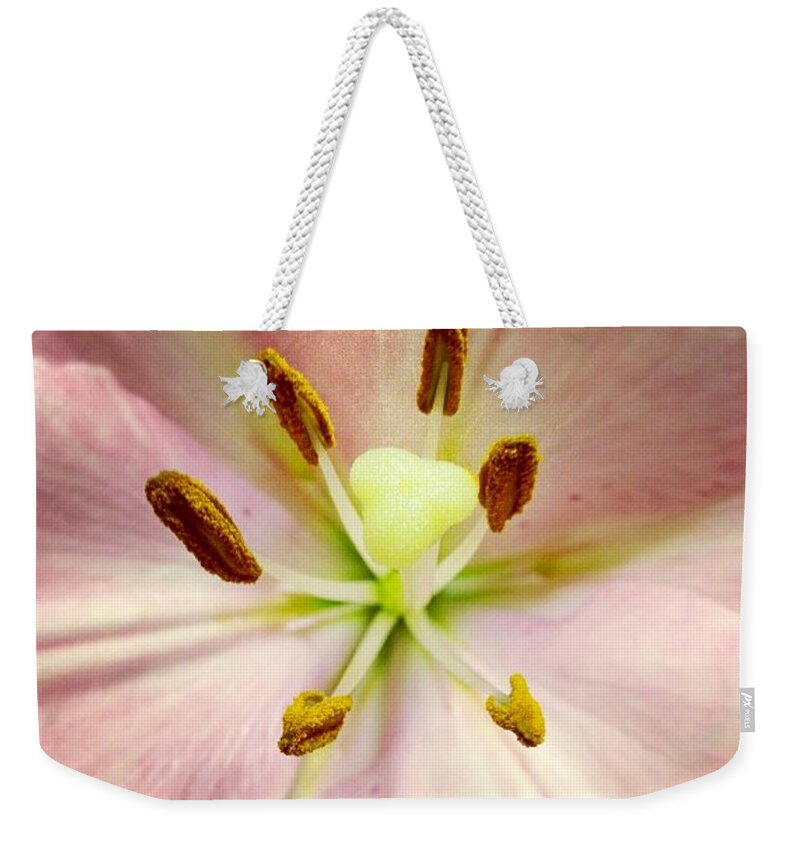 Lily Weekender Tote Bag featuring the photograph Pink by Denise Railey