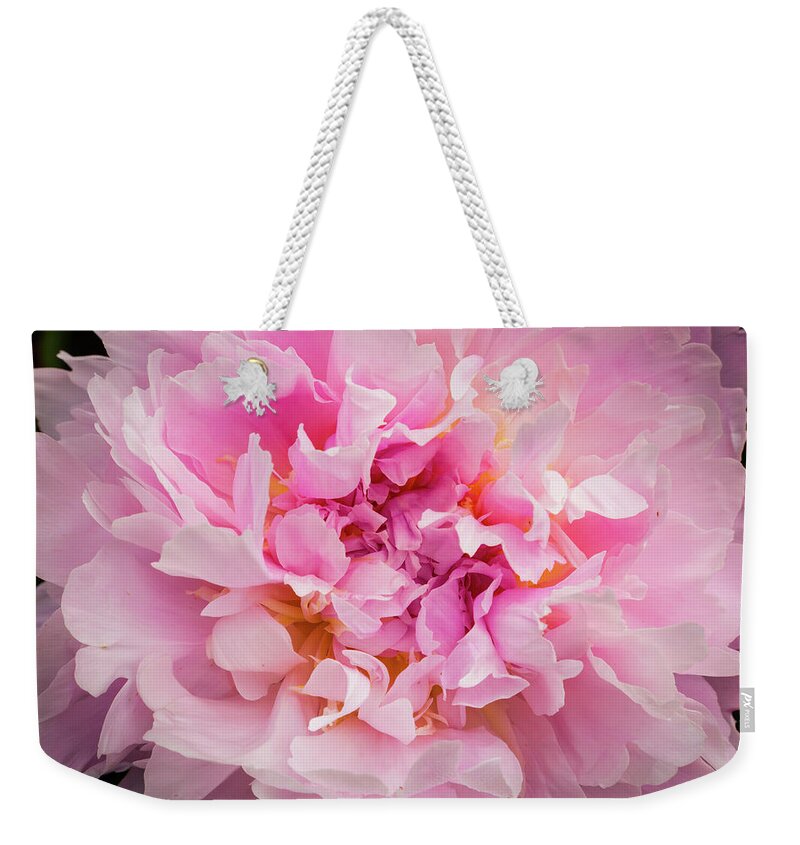 5dii Weekender Tote Bag featuring the photograph Pink Double Peony by Mark Mille