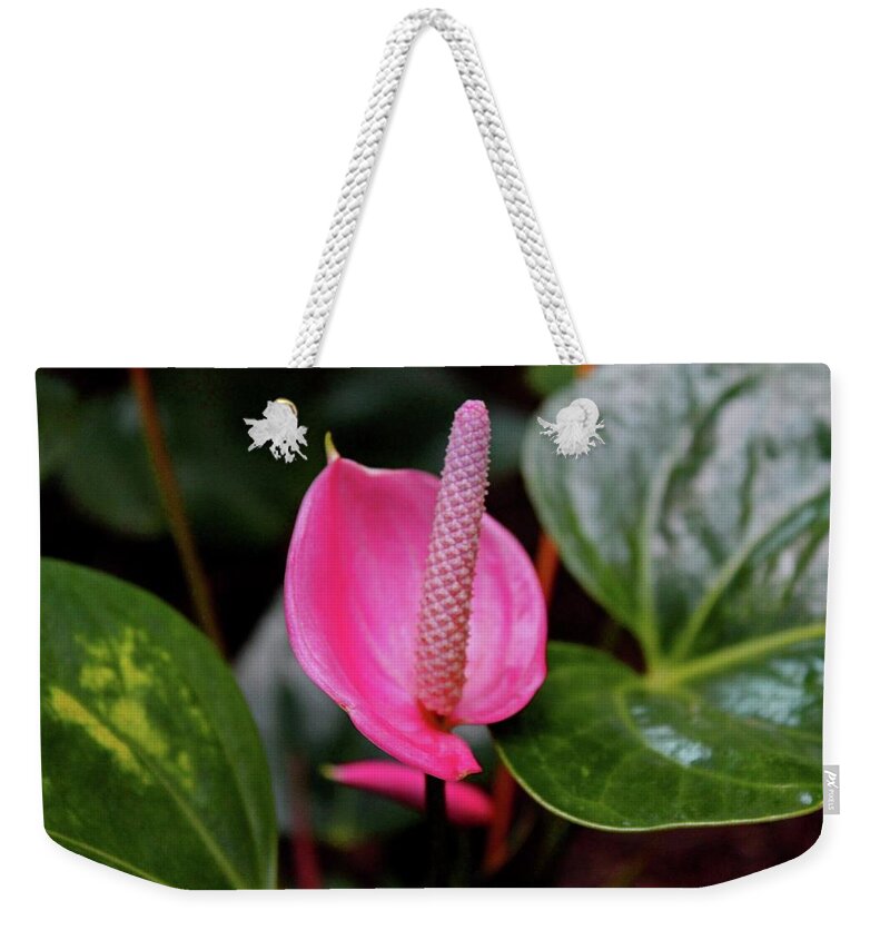Flamingo Weekender Tote Bag featuring the photograph Pink Flamingo Flower I by Michiale Schneider
