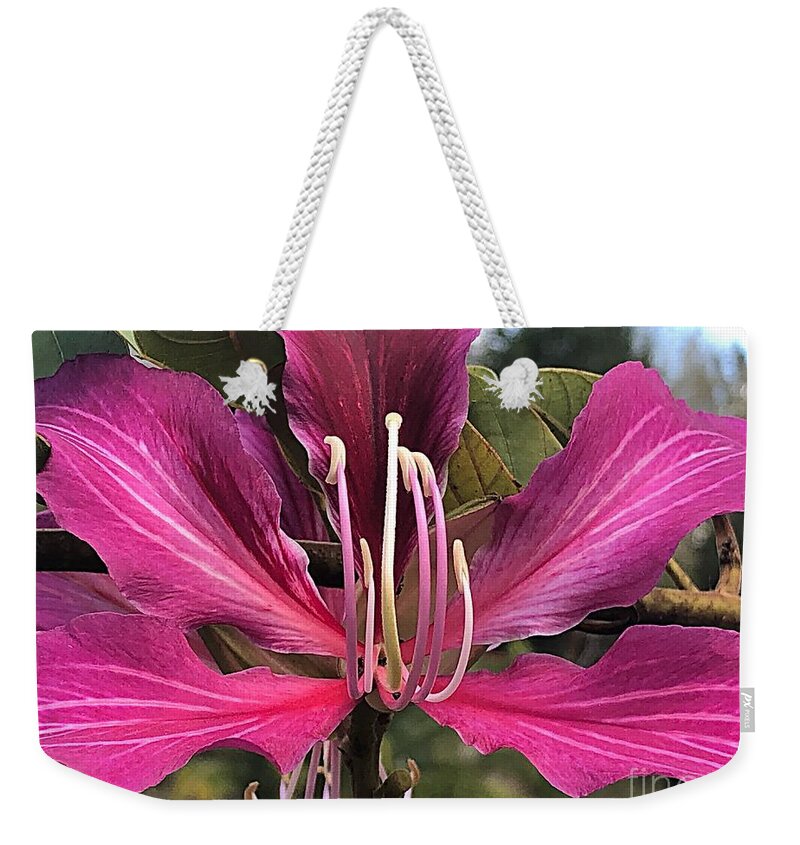 Photograph Weekender Tote Bag featuring the photograph Purple Flower Power by Carol Riddle