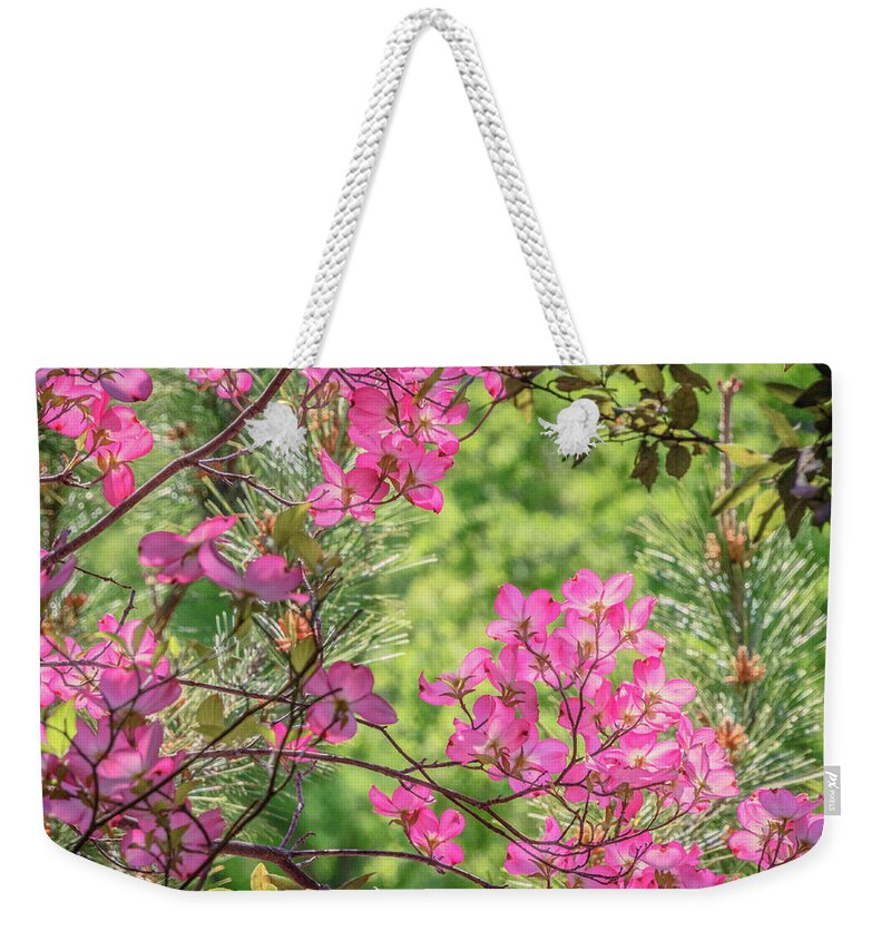 Dogwood Weekender Tote Bag featuring the photograph Pink Glow by Steph Gabler
