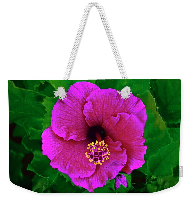 Beauty Weekender Tote Bag featuring the photograph Pink Hibiscus h50 by Mark Myhaver