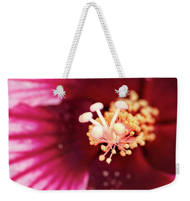 Hibiscus Weekender Tote Bag featuring the photograph Pink Hibiscus-Inside by Don Johnson
