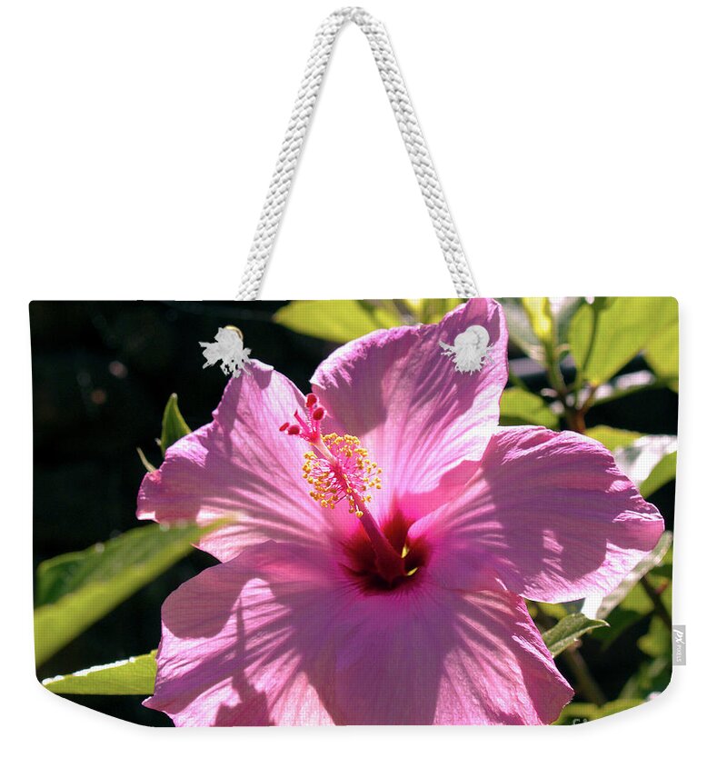 Fine Art Photography Weekender Tote Bag featuring the photograph Pink Hibiscus by Patricia Griffin Brett