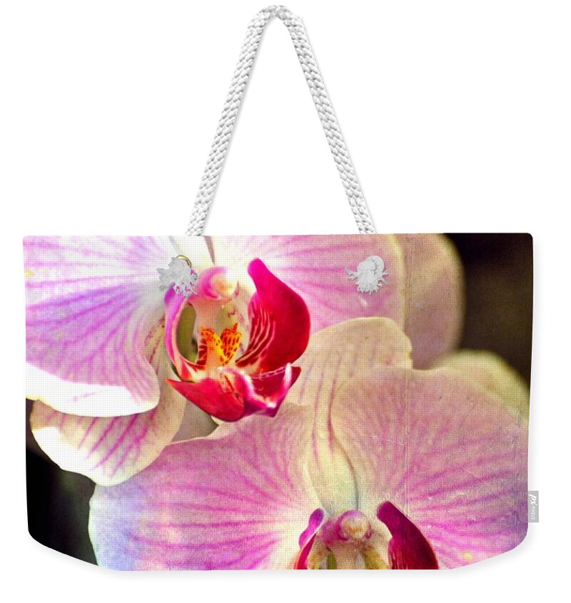 Orchids Weekender Tote Bag featuring the photograph Pink in a Row by Marty Koch